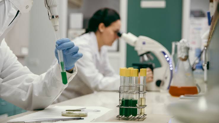 El Gobierno brindará charlas informativas sobre becas doctorales cofinanciadas con el CONICET
