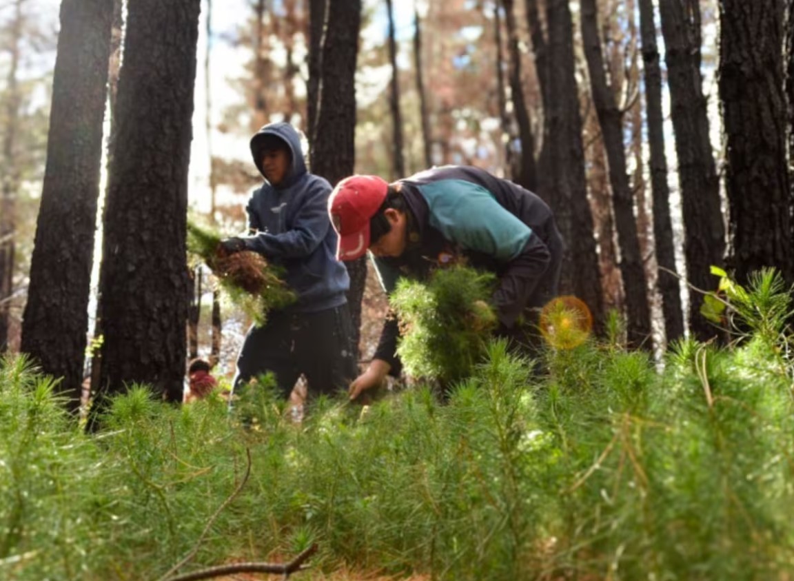Después de seis meses después del incendio que arrasó Epuyén, una red de vecinos busca transformar la tragedia en prevención