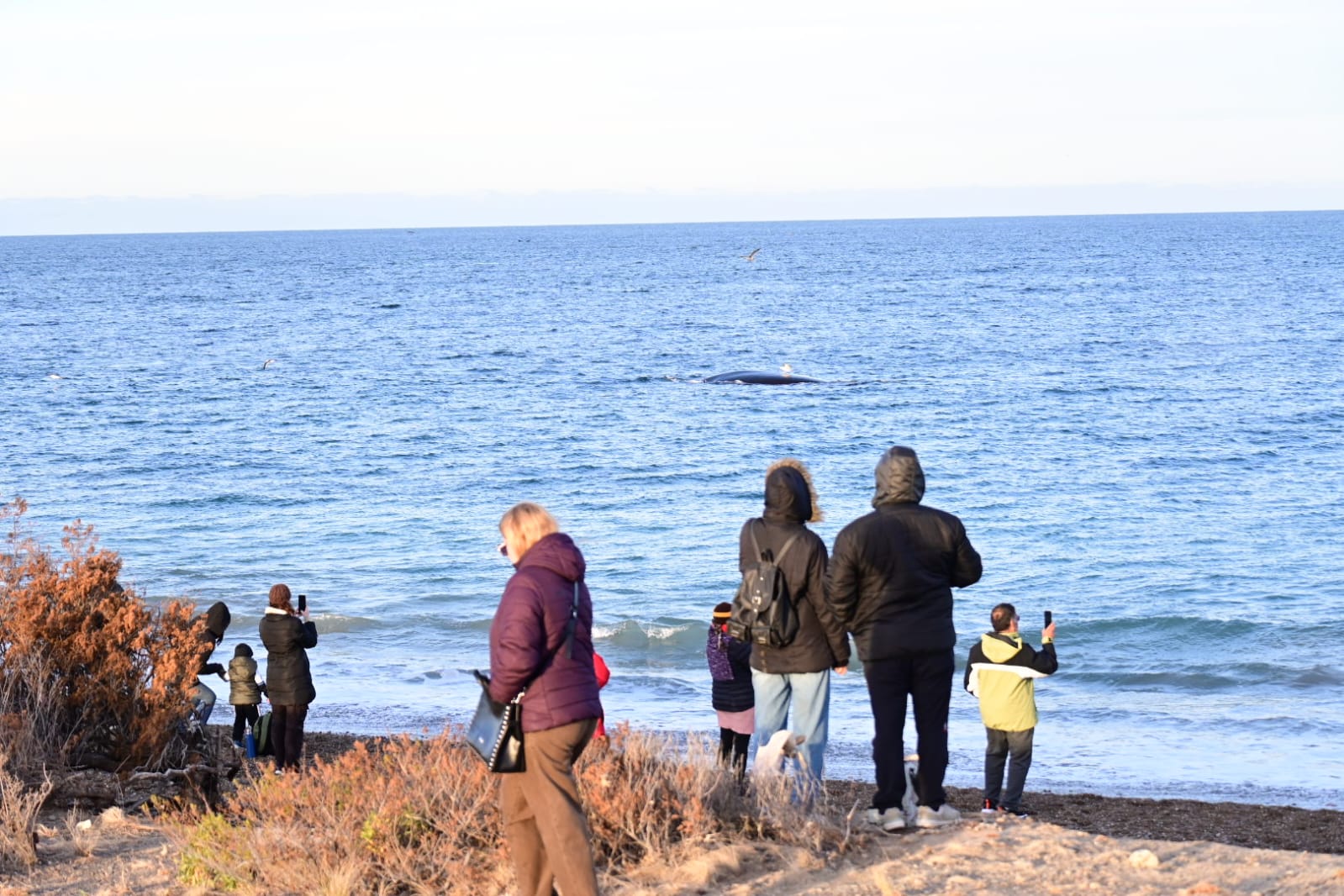 Vecinos de Puerto Madryn disfrutaron del Área Natural Protegida El Doradillo en el marco de “Turismo Muy Cerca”