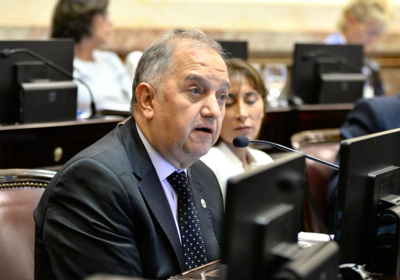 Linares entre los senadores que más proyectos presentaron en el Congreso durante 2026