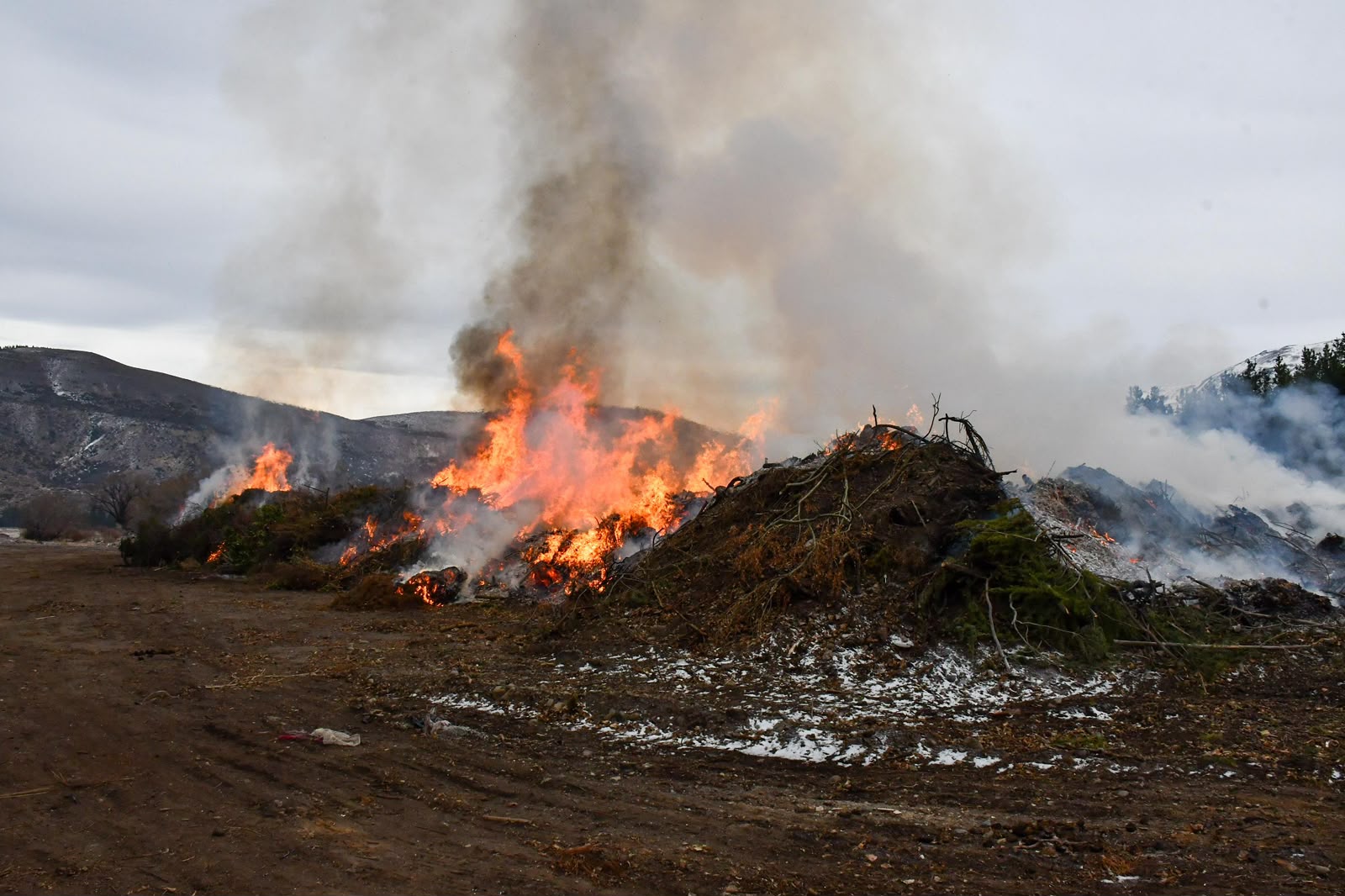 La Municipalidad de Esquel realizó una quema controlada de residuos forestales