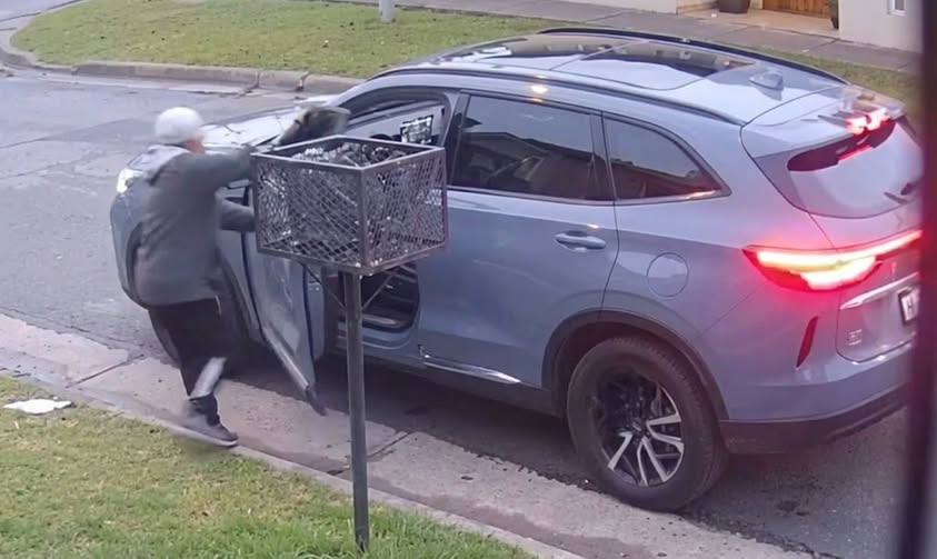 “Te mato al nene”: La amenaza que le hicieron motochorros a un hombre para robarle la camioneta en Mar del Plata