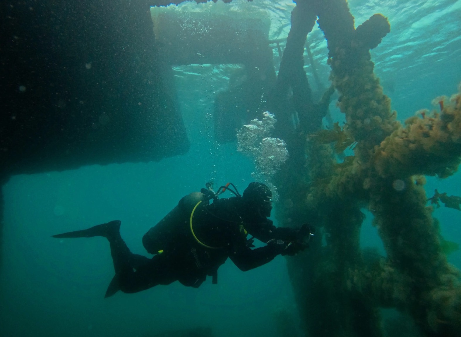 Madryn: Se imputó al instructor de buceo por homicidio culposo de Sofía Devries