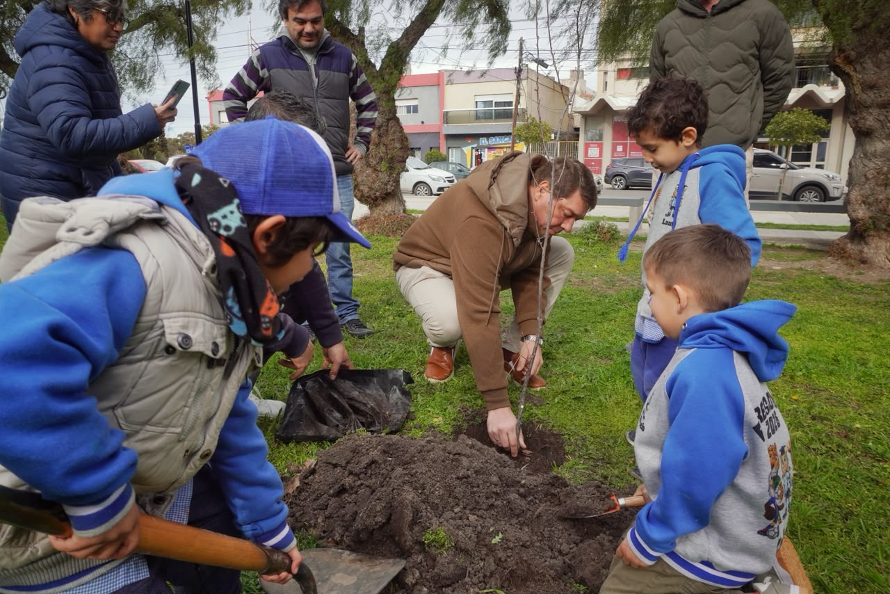 Rawson fue cuarta a nivel nacional en árboles plantados por habitante durante 2025 y refuerza su política ambiental