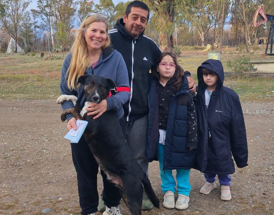 El refugio municipal de Rawson profundiza la adopción responsable de animales rescatados con una campaña abierta a toda la comunidad