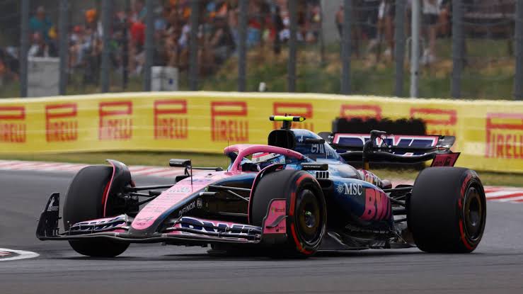 Cuando vuelve a correr Colapinto en la Fórmula 1: Días y horarios del GP de Países Bajos