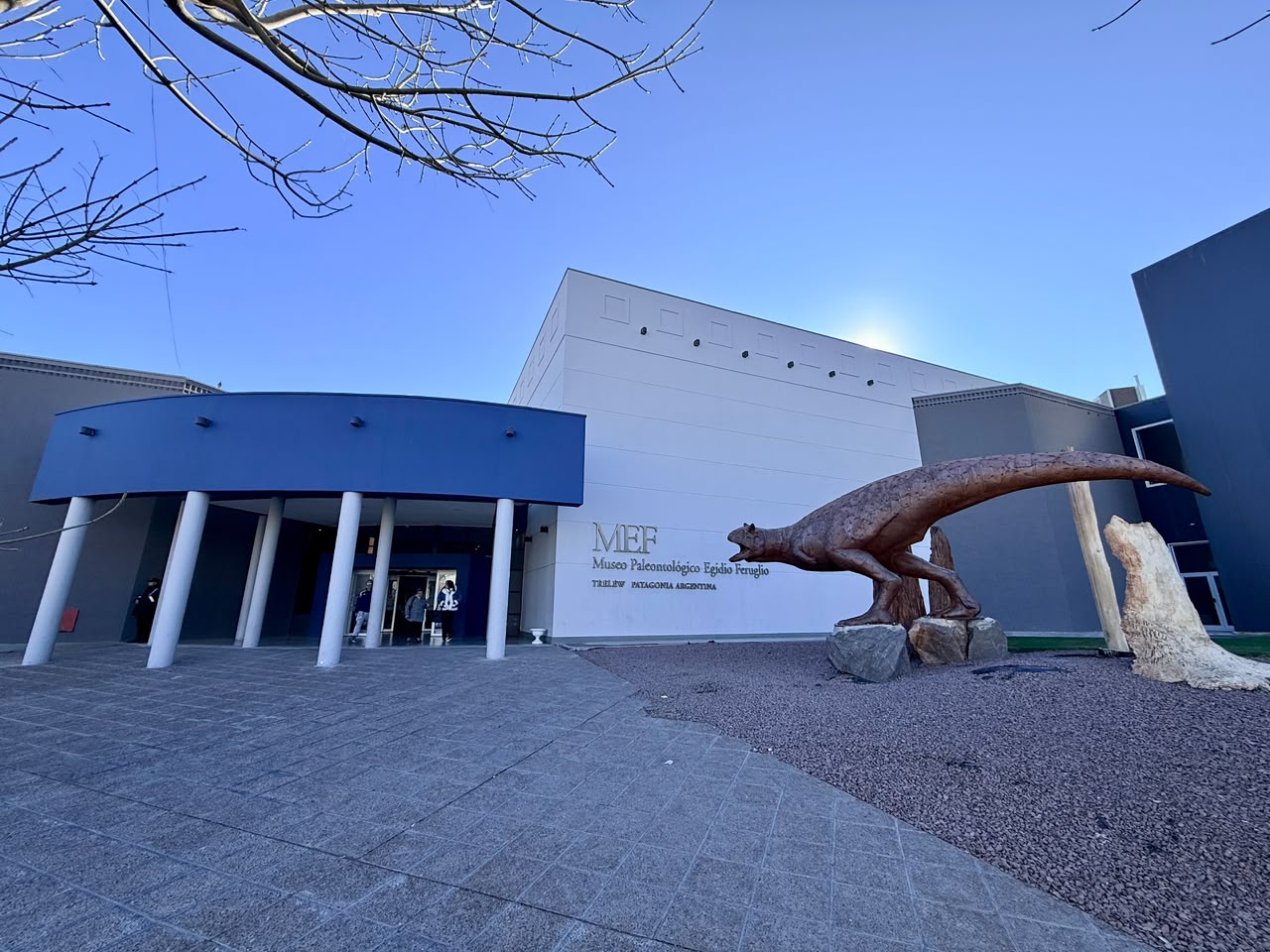 Trelew: El Museo Egidio Feruglio abre por primera vez su ampliación con actividades gratuitas para toda la familia