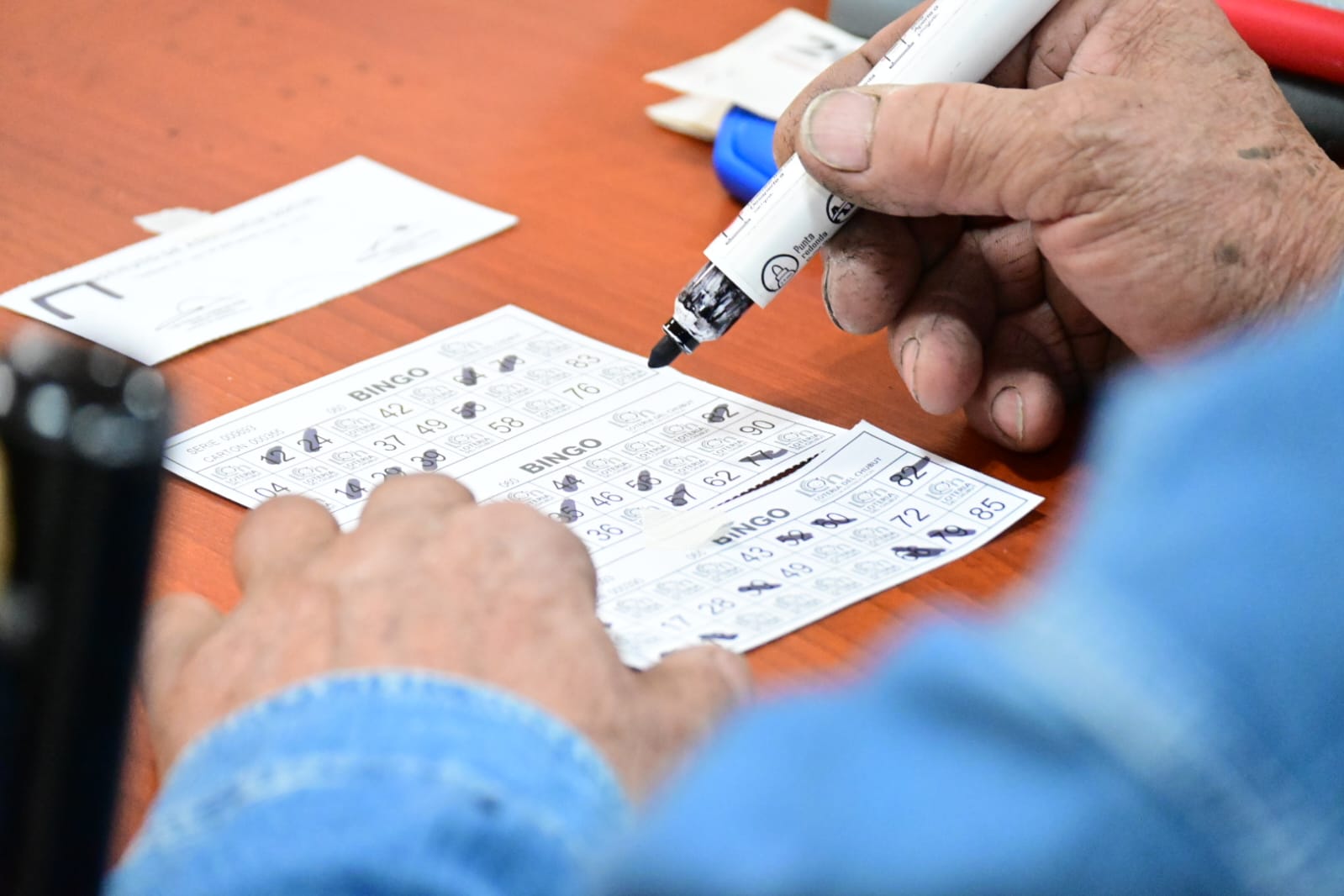 El Bingo Municipal de Madryn vuelve este fin de semana con un pozo acumulado de más de $ 33 millones