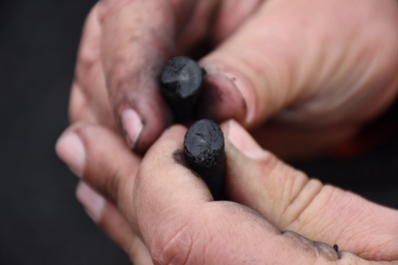 Esquel transforma residuos forestales en biochar y busca ingresar al mercado de carbono