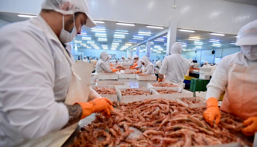 Las exportaciones pesqueras crecieron más del 23% y Chubut tuvo un rol protagónico