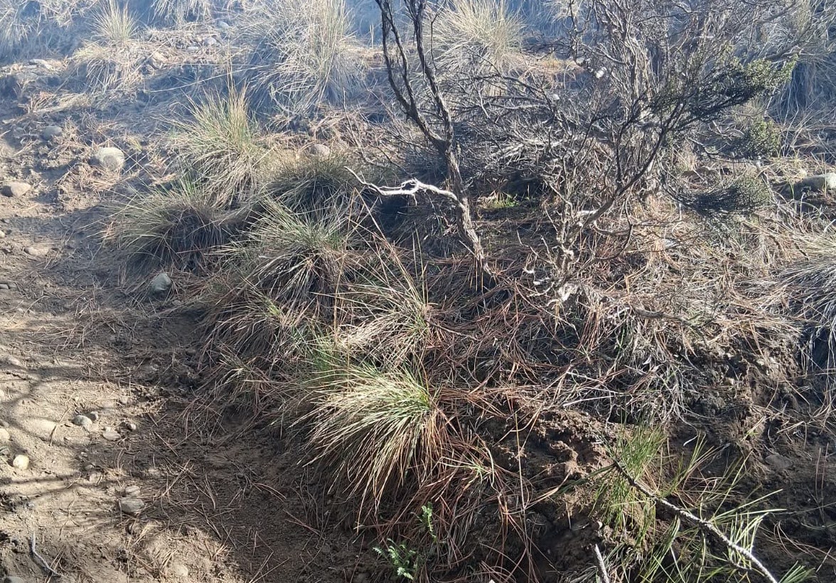 Esquel: encontraron un dispositivo preparado para iniciar fuego en La Zeta