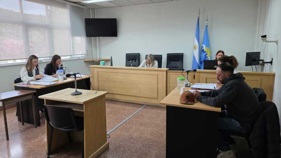 Esquel: elevaron a juicio una causa por violencia de género y crueldad animal
