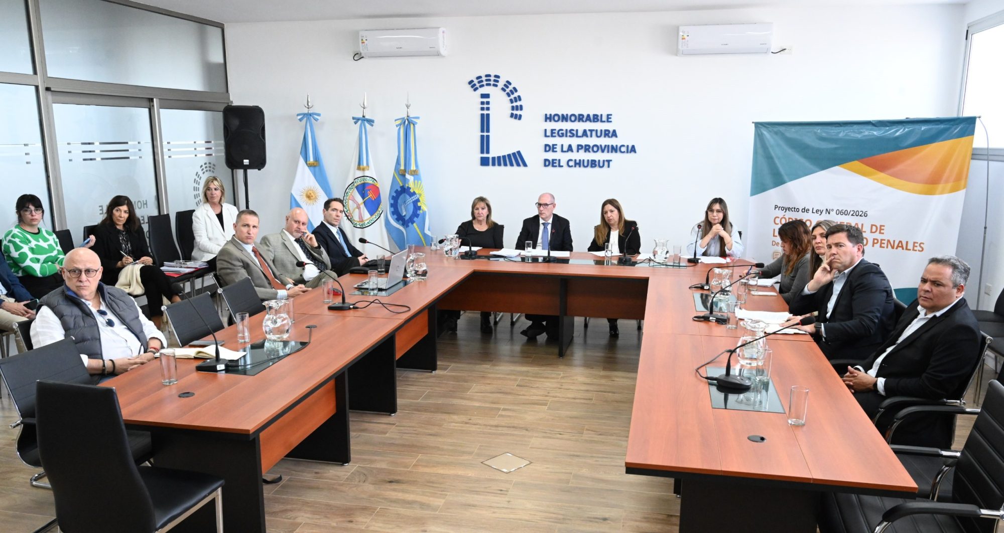 La Legislatura avanza con el debate para crear un nuevo Código de Procesos No Penales