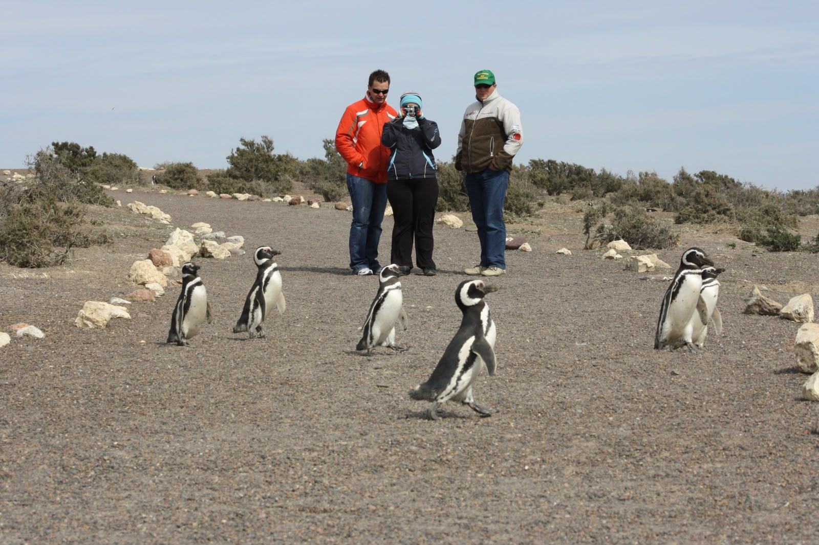 Fin de semana largo en Chubut: más de 24 mil turistas y un impacto económico de casi $ 11.000 millones