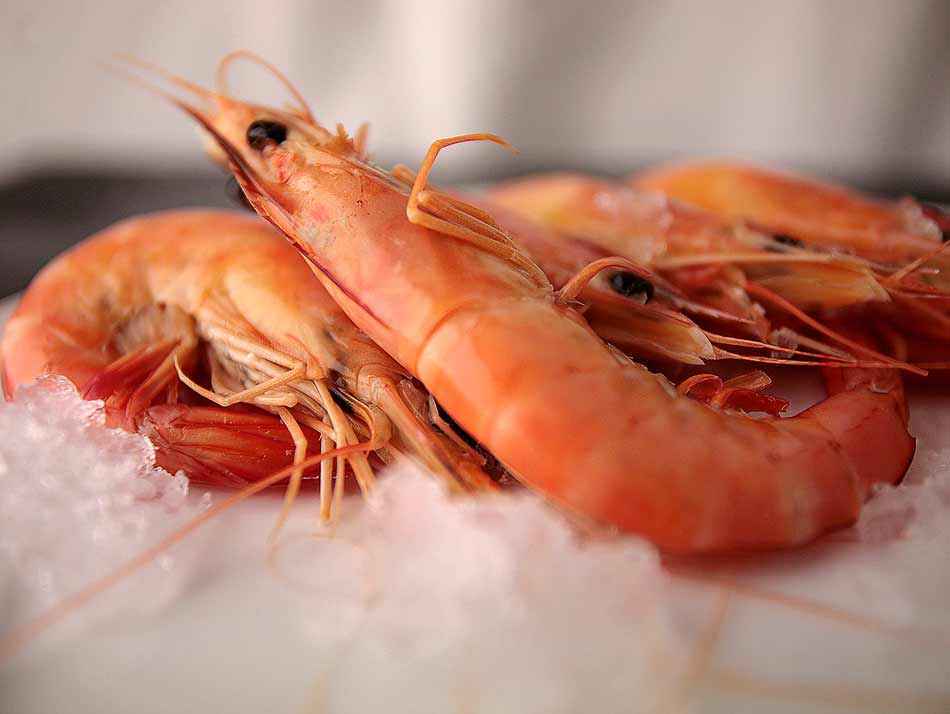 El langostino argentino conquista Europa, pero crecen los reclamos por la falta de transparencia